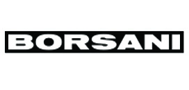 BORSANI