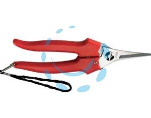 FORBICE RACCOLTA LAMA STRETTA - cm.19 - 31329 - Marca AUSONIA - Cod: 122030