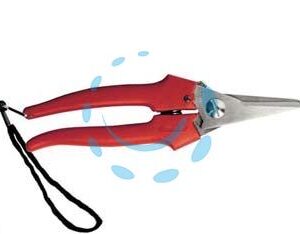 FORBICE RACCOLTA LAMA LUNGA - cm.19 - 31327 - Marca AUSONIA - Cod: 122047
