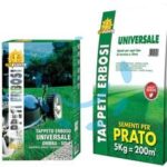 - kg.1 per mq.50 di prato - Cod: 463263 - 10 pz