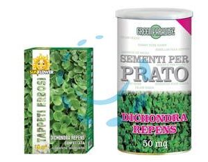 SEMI PRATO DICHONDRA REPENS - gr.100 per mq.10 di prato - Marca FRANCHI - Cod: 463317